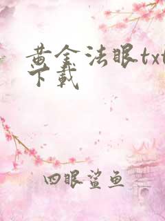 黄金法眼txt下载