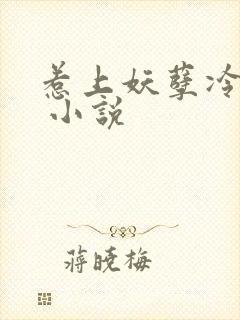 惹上妖孽冷殿下 小说