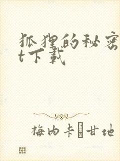 狐狸的秘密txt下载