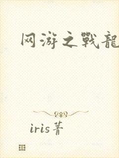 网游之战龙无双