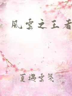 风云之王者人生