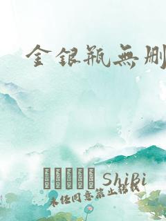 金银瓶无删除