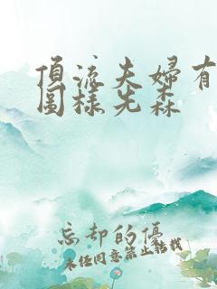 顶流夫妇有点甜图样先森