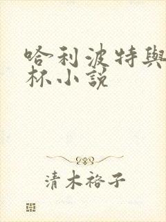 哈利波特与火焰杯小说