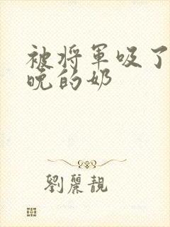 被将军吸了一整晚的奶