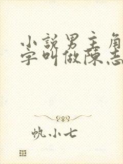 小说男主角的名字叫做陈志远