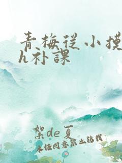 青梅从小摸到大h补课