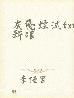 灰飞烟灭txt新浪