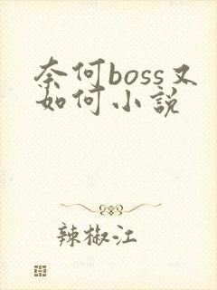 奈何boss又如何小说