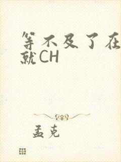 等不及了在车里就CH