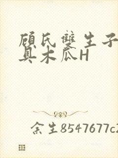 顾氏双生子的玩具木瓜H