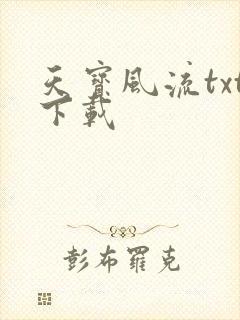 天宝风流txt下载