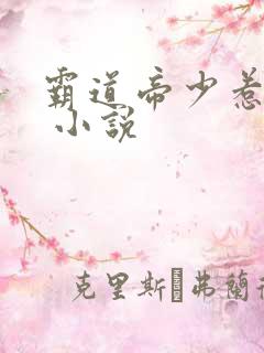 霸道帝少惹不得 小说