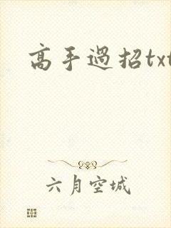 高手过招txt