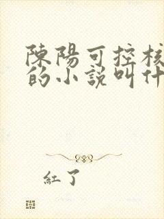 陈阳可控核聚变的小说叫什么名字