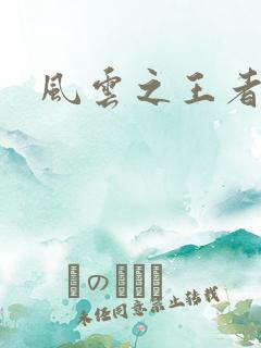 风云之王者人生