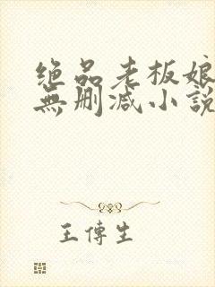 绝品老板娘完整无删减小说