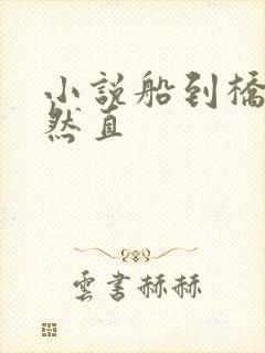 小说船到桥头自然直