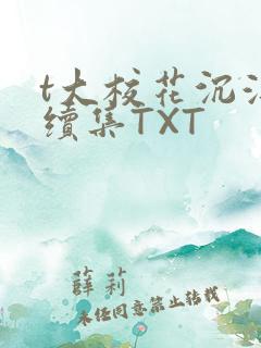 t大校花沉浮录续集TXT