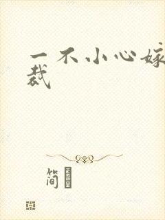 一不小心嫁给总裁