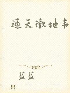 通天彻地韦小宝