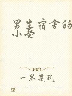 男生宿舍的公共小受