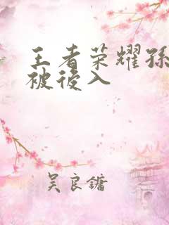 王者荣耀孙尚香被后入