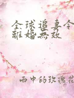 全球追妻令老婆离婚无效