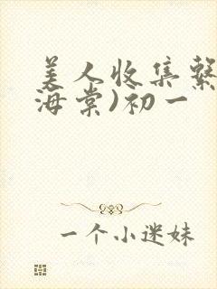 美人收集系统(海棠)初一