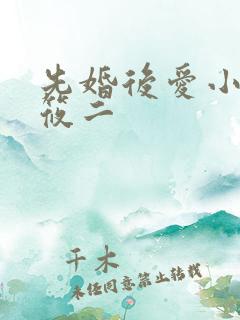 先婚后爱小说梦筱二