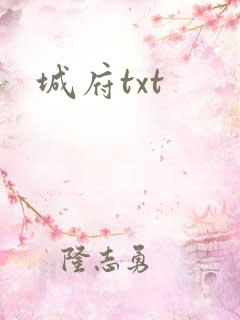 城府txt