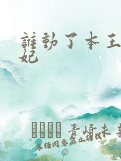 谁动了本王的悍妃