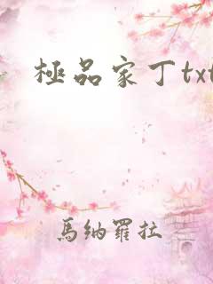 极品家丁txt