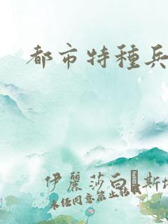 都市特种兵任天