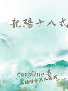龙阳十八式