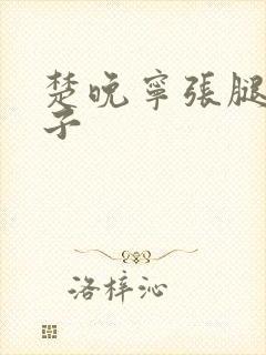 楚晚宁张腿放棋子