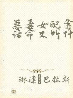 恶毒女配靠JY活命又叫什么