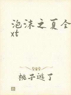 泡沫之夏全集txt