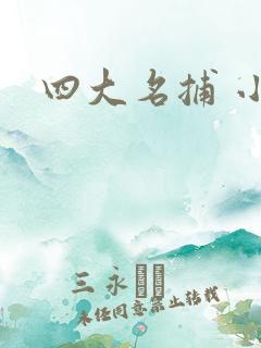 四大名捕 小说