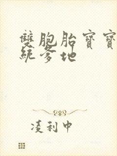 双胞胎宝宝的总统爹地