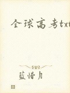 全球高考txt