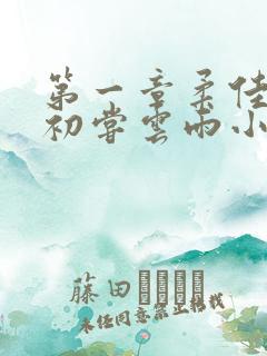 第一章柔佳少妇初尝云雨小说