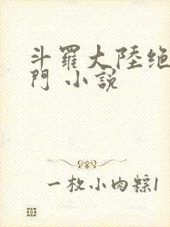 斗罗大陆绝世唐门 小说