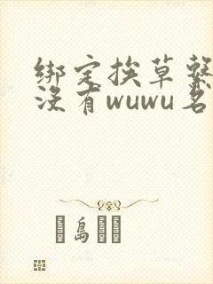 绑定挨草系统后没有wuwu名字