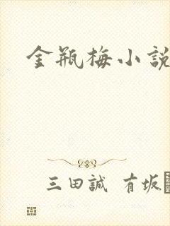 金瓶梅小说下载