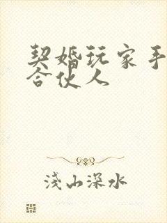 契婚玩家手册之合伙人