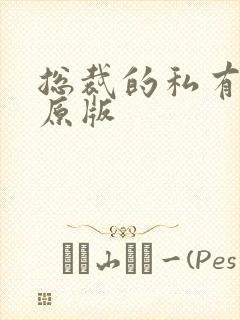 总裁的私有宝贝原版