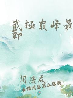 武极巅峰最新章节