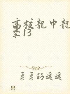 高校龙中龙第二季13