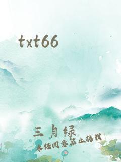 txt66